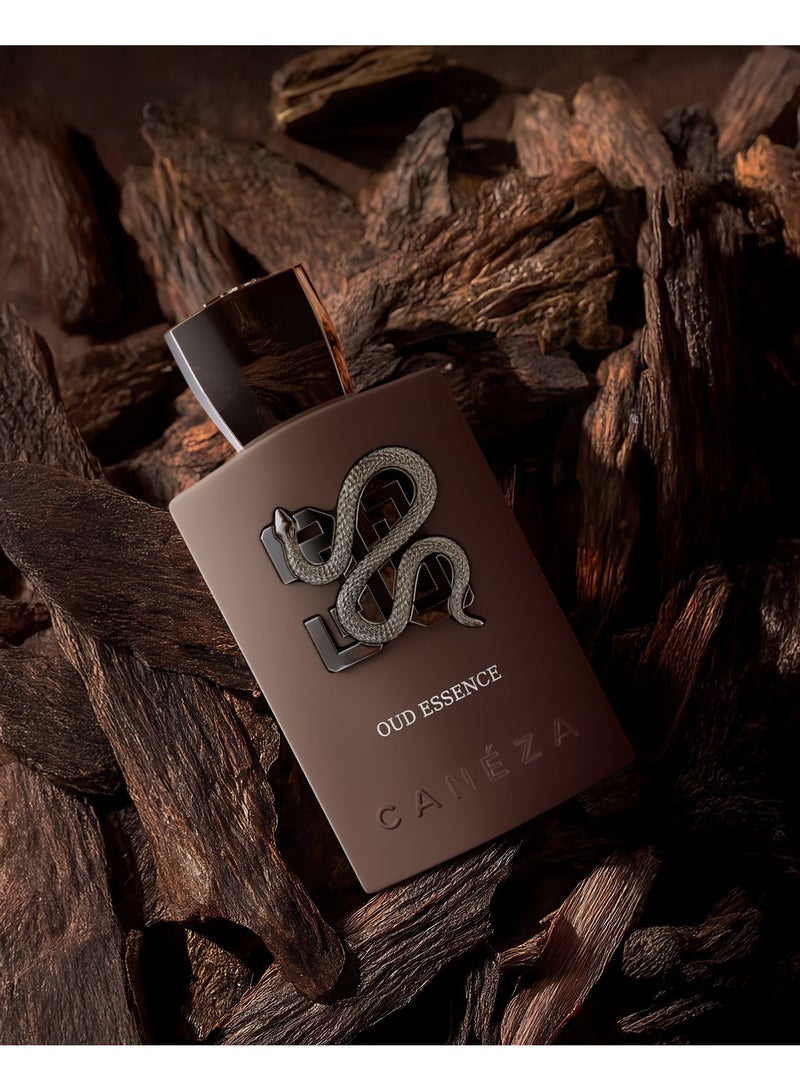 Canéza Oud Essence Eau de Parfum - Warm Fruity Oud with Saffron, Vanilla & Benzoin | Modern Long-Lasting Unisex Fragrance | 100ML - Image 3